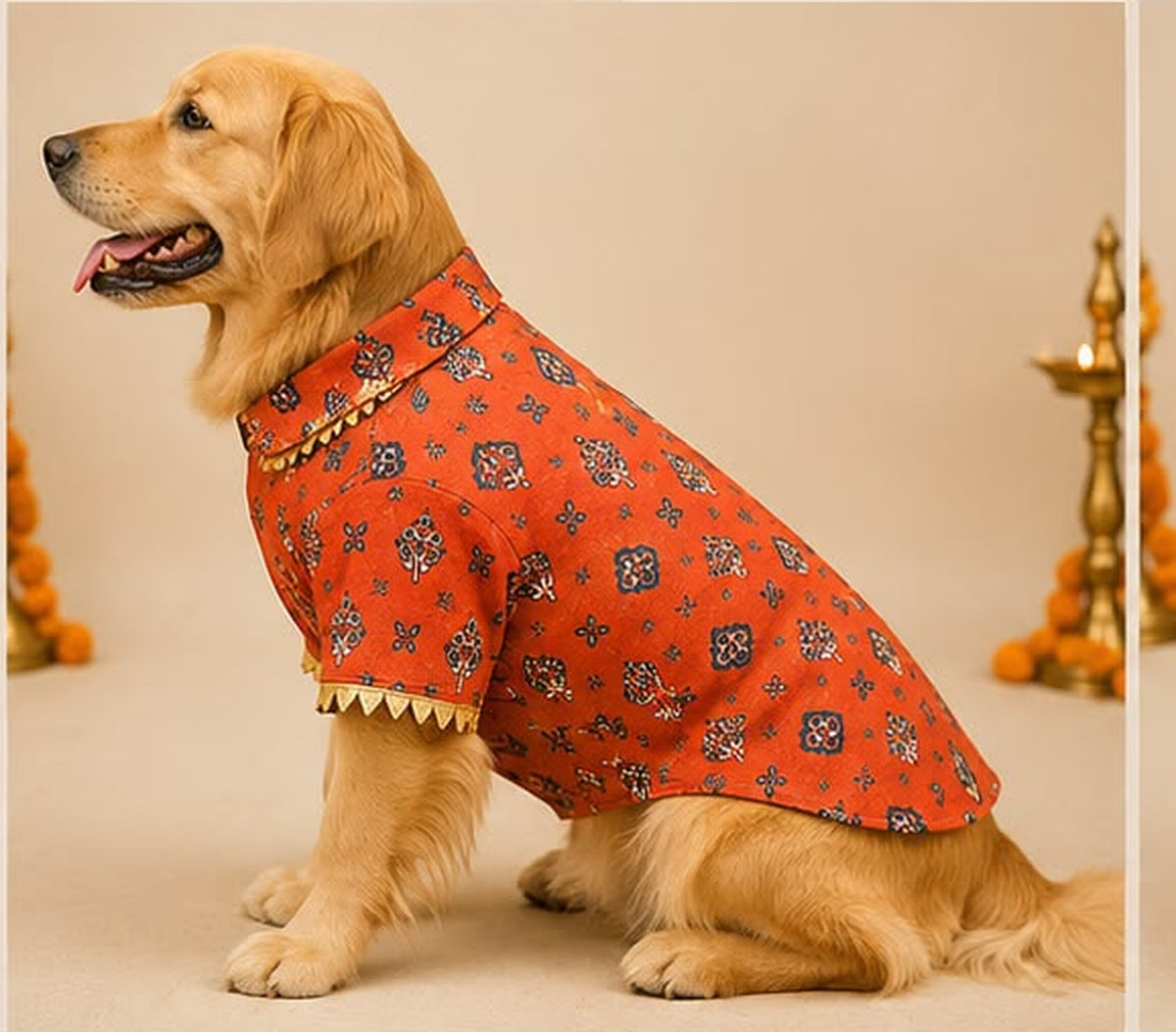 Royal Cotton Linen Dog Kurta