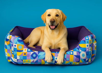 Pet Comfort