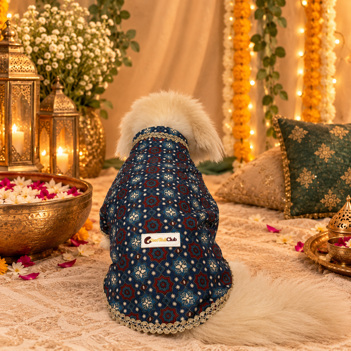 Royal Cotton Linen Dog Kurta