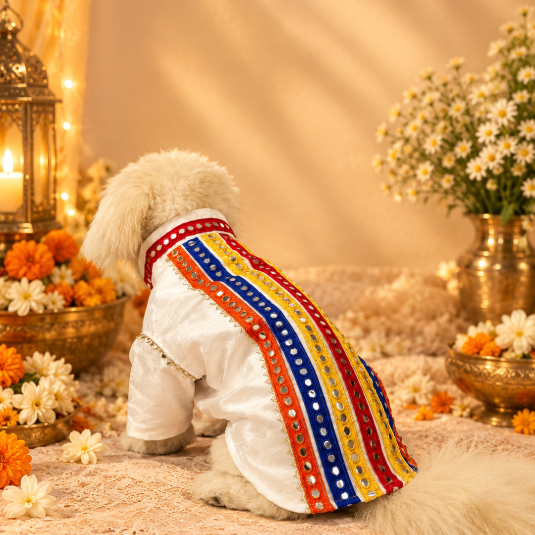 White Kurta with Multicolour Embroidery