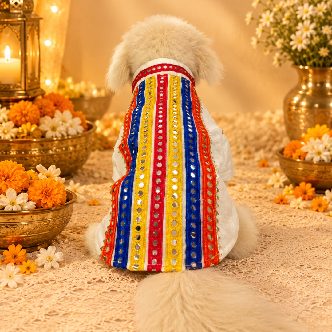 White Kurta with Multicolour Embroidery