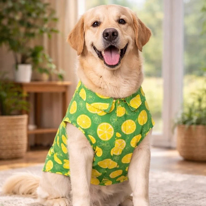 Lemon Splash Pup – Printed Dog Summer Shirt