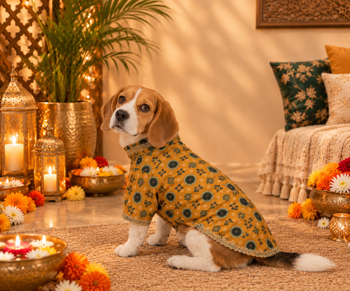 Royal Cotton Linen Dog Kurta