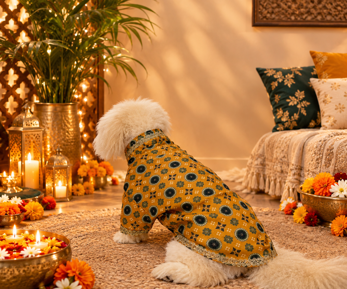 Royal Cotton Linen Dog Kurta