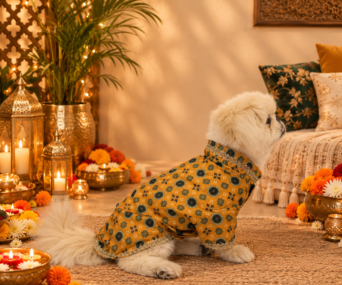 Royal Cotton Linen Dog Kurta