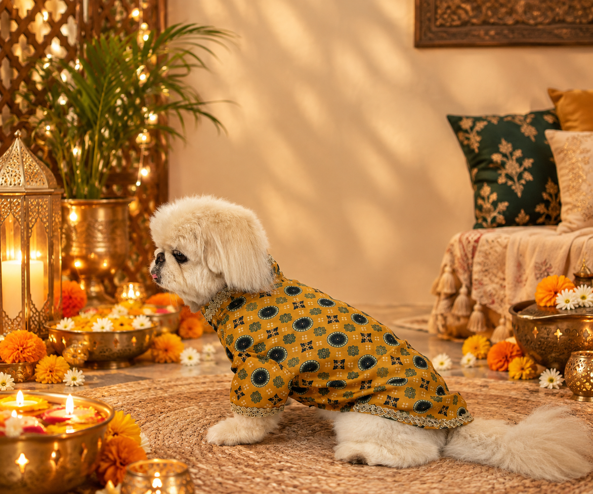 Royal Cotton Linen Dog Kurta