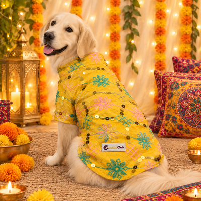 Navratri Collection