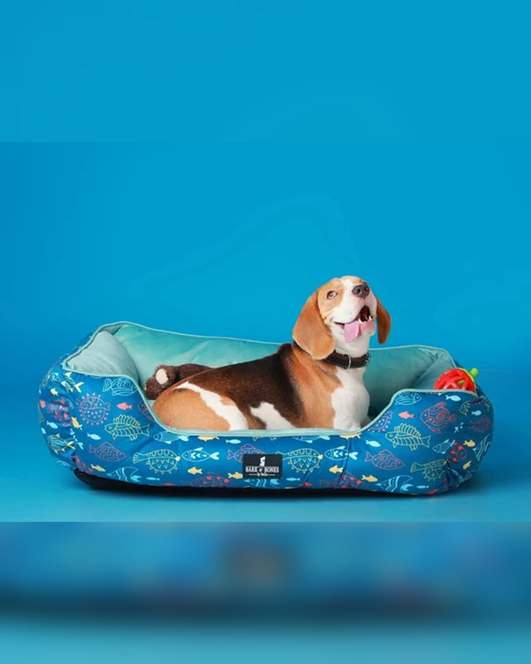 Ocean Blue Fish Print Dog Bed
