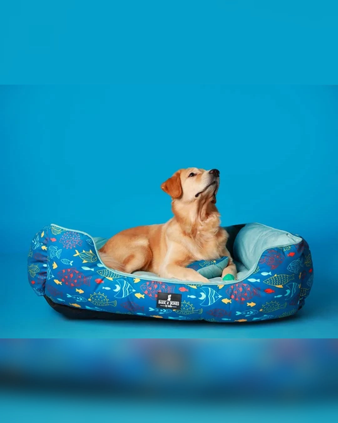 Ocean Blue Fish Print Dog Bed