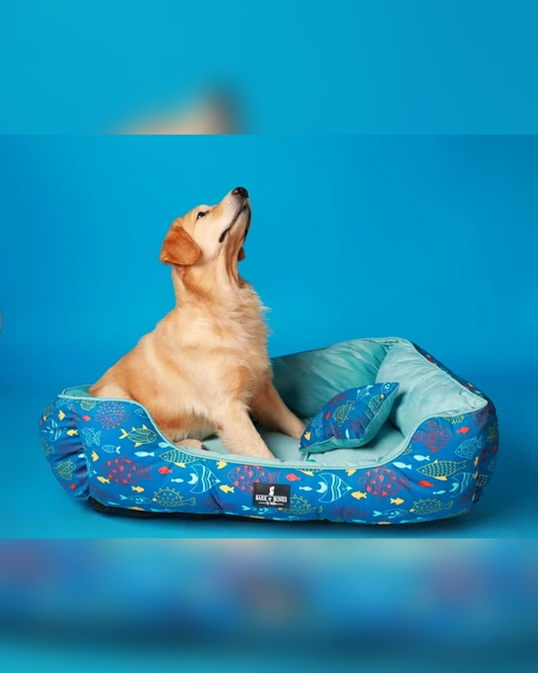 Ocean Blue Fish Print Dog Bed