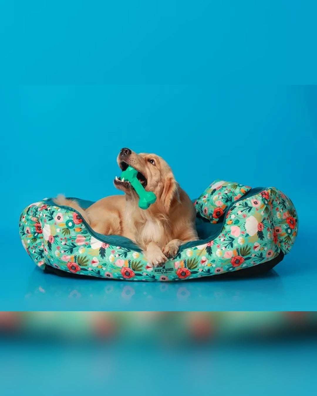 Garden Bloom Floral Dog Bed