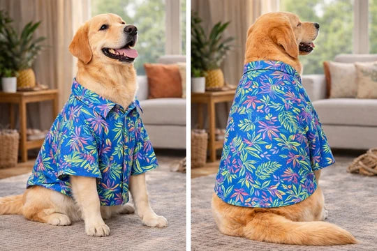 Tropical Blue Floral Cotton Dog Shirt
