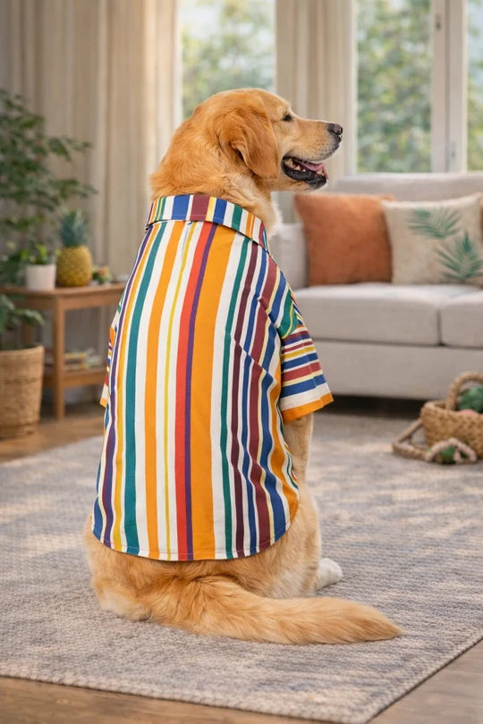 Classic Multicolor Striped Cotton Dog Shirt