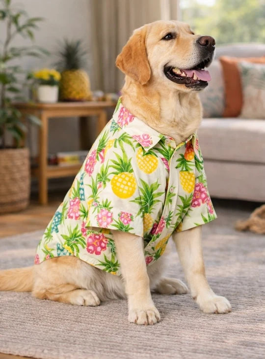 Tropical Pineapple Cotton Dog Shirt